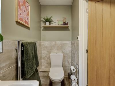 Picture 11